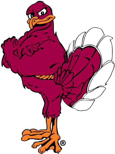 Virginia Tech Hokies 2000-Pres Mascot Logo v2 diy fabric transfer...
